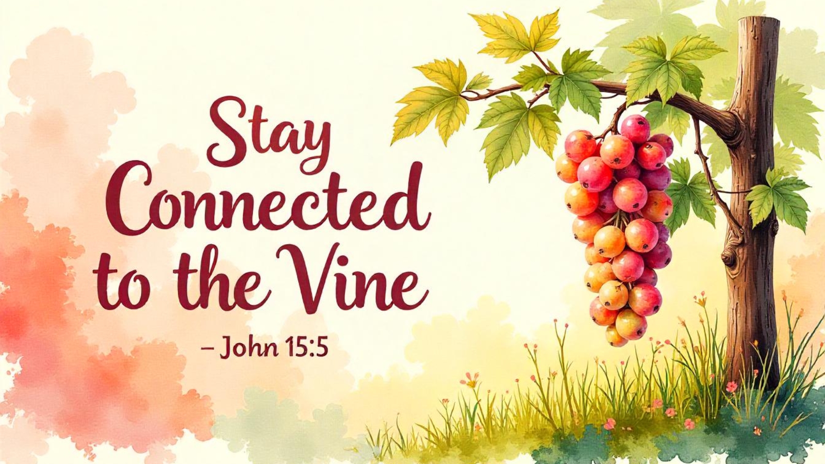 stay connected to the vine_0